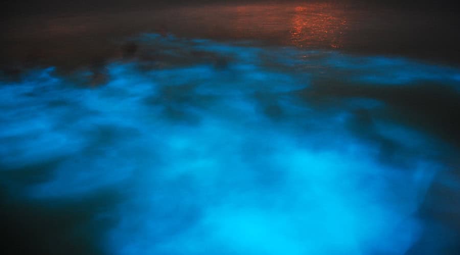 luminous-lagoon-glow
